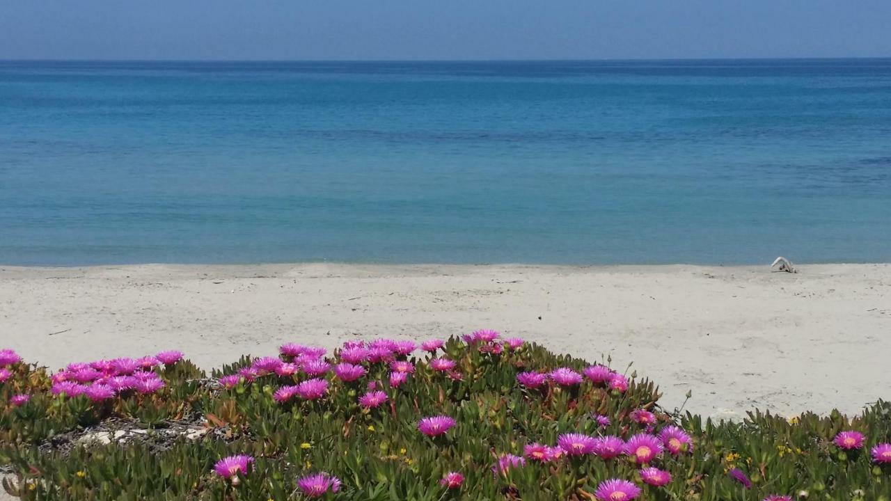 casa azzurra Apartman San Foca Kültér fotó